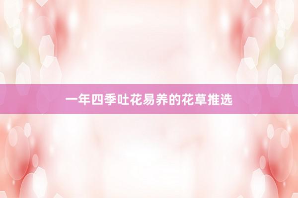 一年四季吐花易养的花草推选